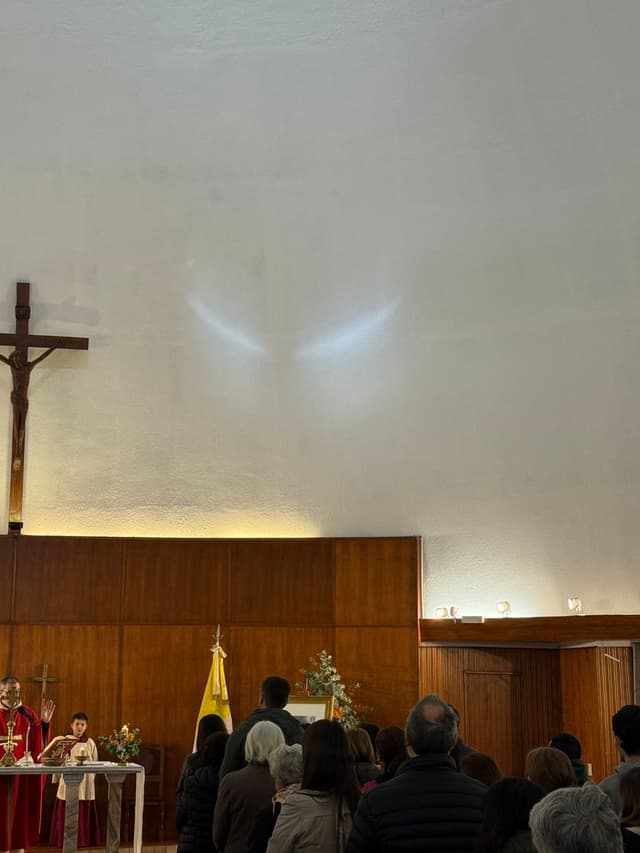 Entronización del Beato Carlo Acutis en Chascomús - Nuestra Señora de Luján (foto 1)